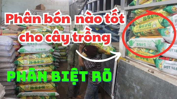 Có bao nhiêu loại phân bón trên thị trường phân năm 2024