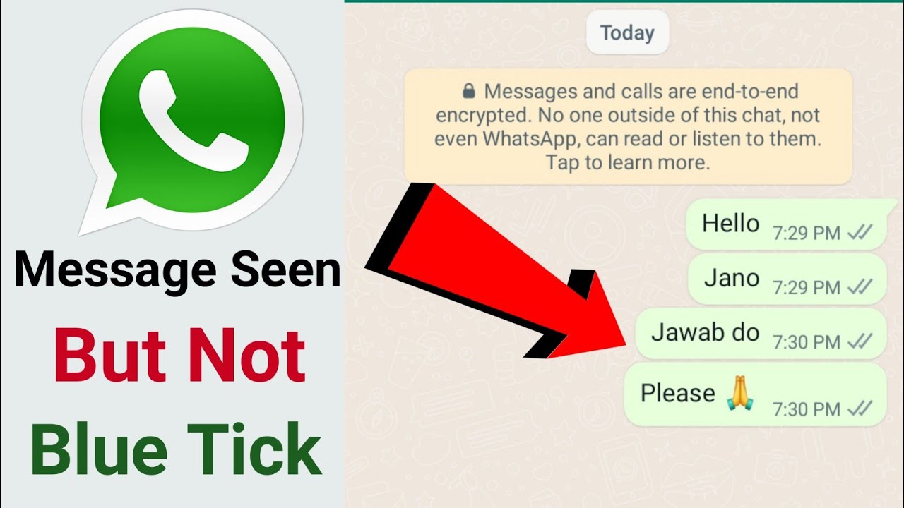 Whatsapp Blue Tick Disable Whatsapp Message Seen But No Blue Ticks whatsapp-blue-tick-disable-whatsapp-message-seen-but-no-blue-ticks