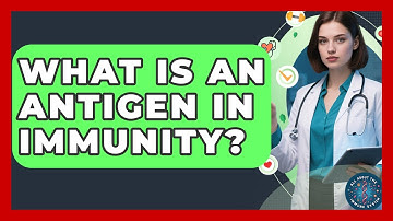 What Is An Antigen In Immunity? - All About the Immune System