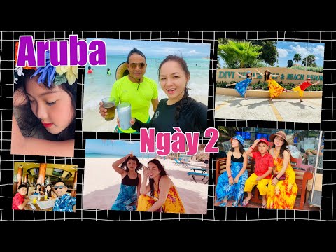 Video: Đi Du Lịch Aruba Có An Toàn Không?