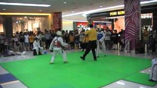 Loh Zhang Cee Vs - Taekwondo WTF Tournament 2011/Q1 screenshot 2