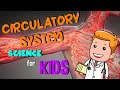 Circulatory System Quiz