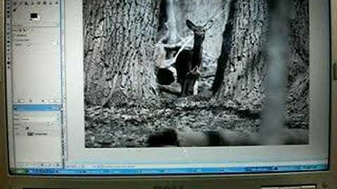 Selective Exposure Correction In GIMP Using Curves