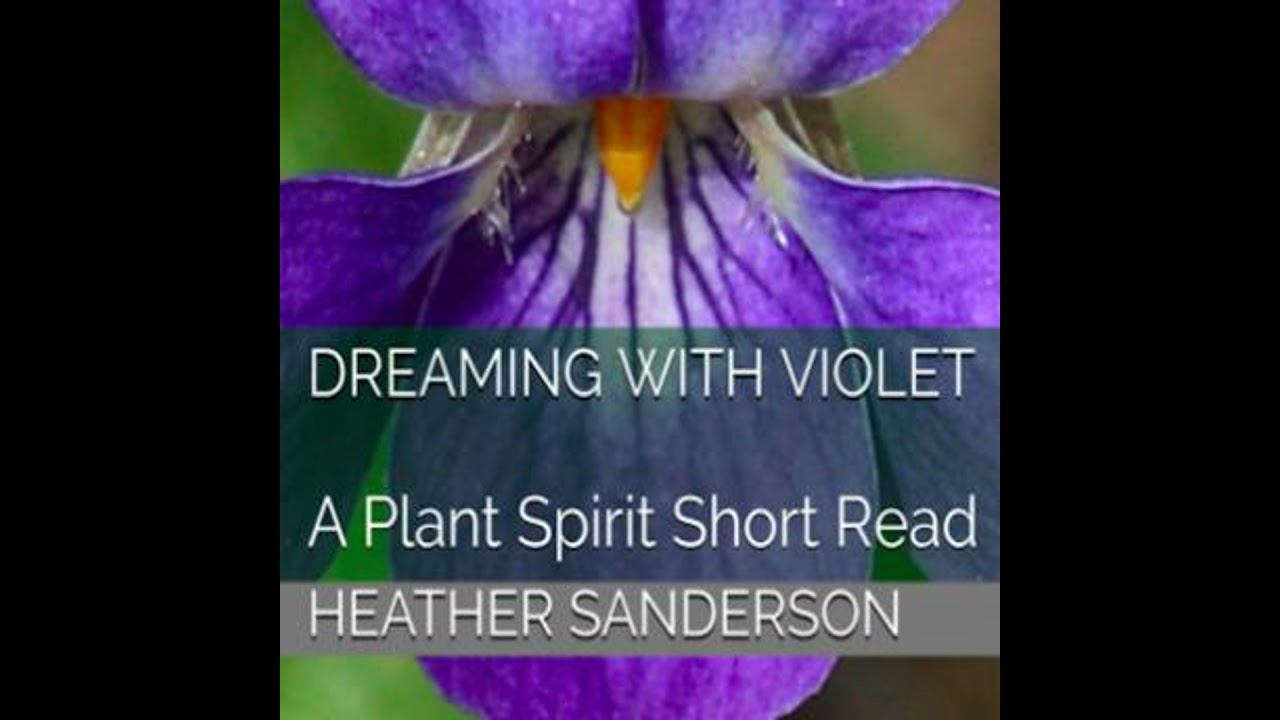 Dreaming with Violet: A Plant Spirit Short Read - Heather Sanderson