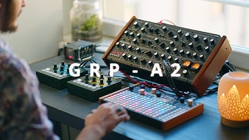 GRP A2 + OTO Bim & Bam // My new favorite MONO SYNTH
