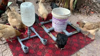 Chicken Feeder From PVC Pipes and 20 liter Plastic Bins