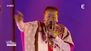 CALYPSO ROSE \