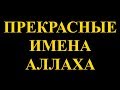 99 имен Аллаха |УЧИМ ИМЕНА АЛЛАХА|