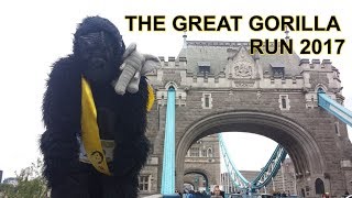 IAN REDMOND WALKS 8KM ON HIS KNUCKLES FOR GORILLAS