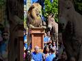 sher ki baten#short video