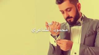 محمود شاعري يا عريس