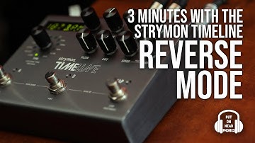 STRYMON TIMELINE REVERSE MODE