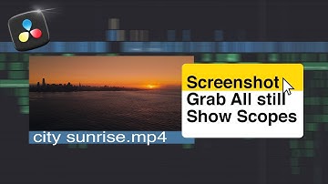 How to screen shot in davinci resolve