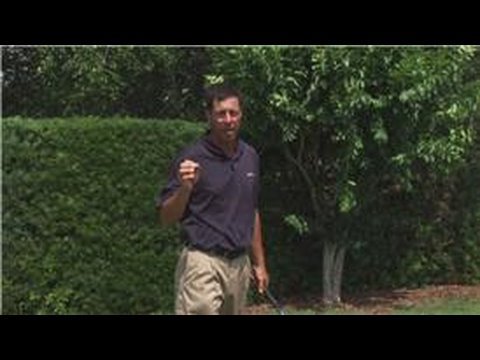 Golf Tips : One-Plane vs. Two-Plane Golf Swing