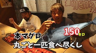 本マグロ Youtube 本マグロ Youtube