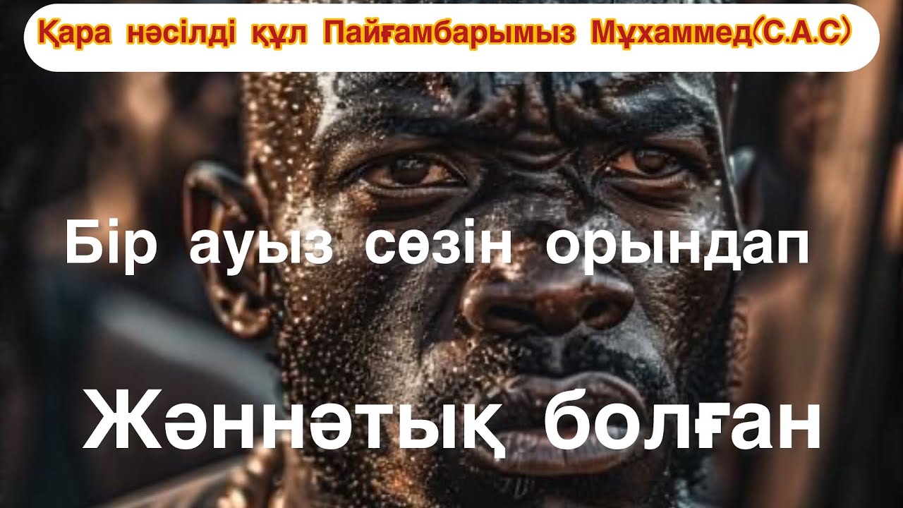 25 февраля 2026 г.