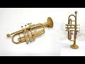 How to Make Trumpet From Cardboard - Easy DIY