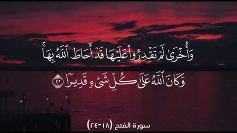 سورة الفتح (18-24)