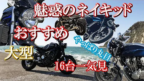 ネイキッド バイク ネイキッド バイク