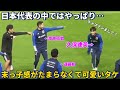 代表の中ではやっぱりみんなの末っ子感がたまらなくて可愛すぎる久保建英！！笑