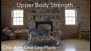 One Arm One Leg Plank