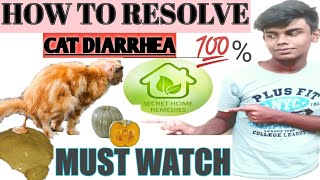 cat and kitten diarrhea home remedy with solution #Persaincat