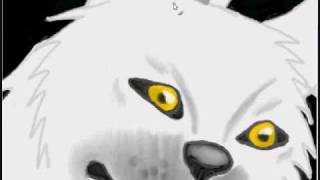 Speed Paint White Wolf