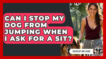 Can I Stop My Dog From Jumping When I Ask For A Sit? - Obedient Dog Guide