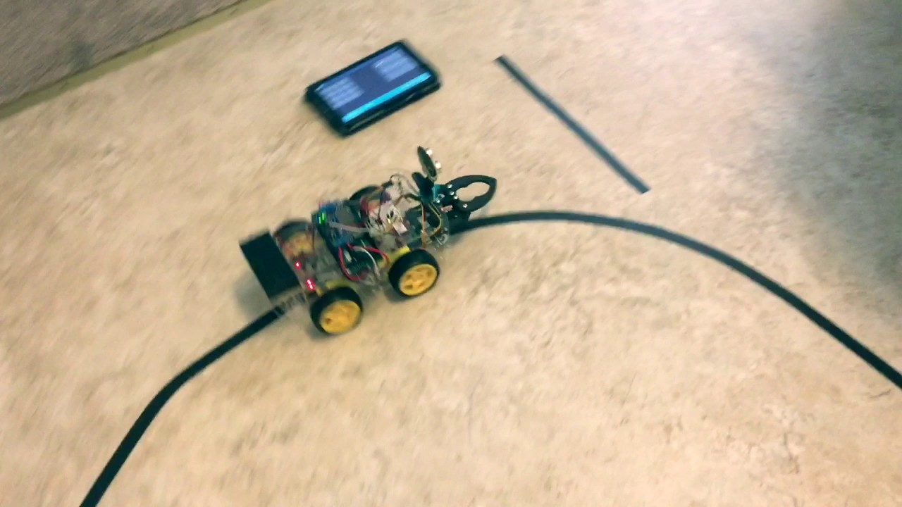 robot to play with dog