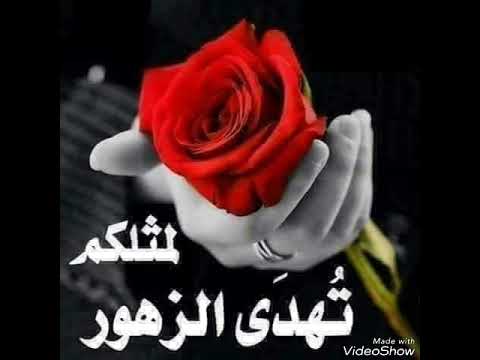لمثلكم تهدى الزهور