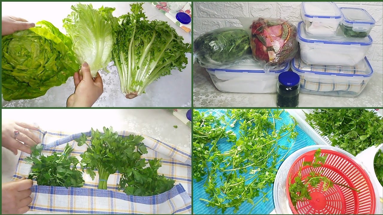 طريقة الاحتفاظ بالورقيات (كسبر/معدنوس/سلطة🥗/النعناع🌿)🍀☘️في الثلاجةو المجمد مدة طويلة
