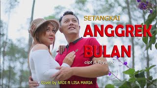 Setangkai Anggrek Bulan - Ardi ft Lisa Maria