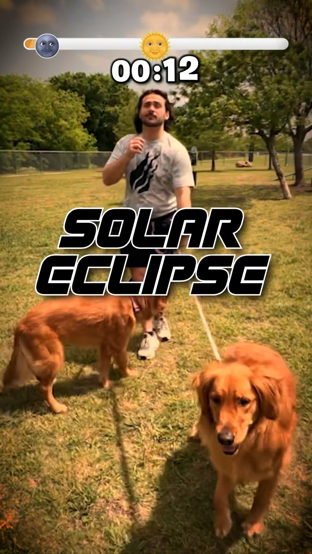 Dogs REACT to the Solar Eclipse