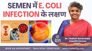 Semen Infection || Semen में E. coli infection के लक्षण || Dr Chekuri Suvarchala || ZIVA Fertility