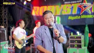 ROBYSTAR MUSIC - TKW - PETHEL MAHOLTRA - WEDDING ABDUL & LAELI - BALONG KEMBANG JEPARA