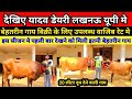 See the best cows available for sale at yadav dairy farm at reasonable rates yadav dairy farm lucknow