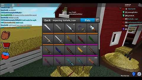 Assassin Hacker Report #8