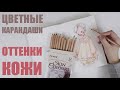 ОТТЕНОК КОЖИ цветными карандашами