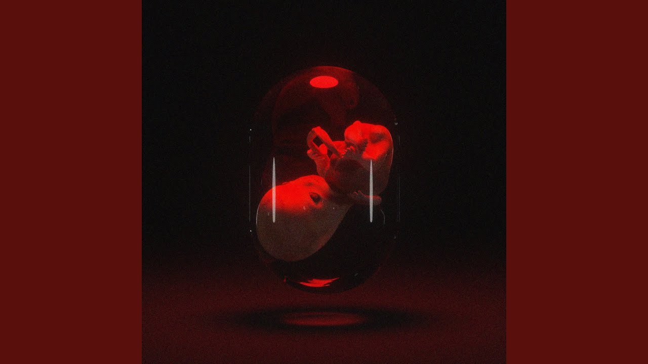 Guarda field su YouTube Guarda field su YouTube