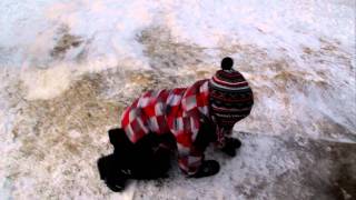 WINTER FUN!! by Amanda D 91 views 12 years ago 5 minutes, 35 seconds