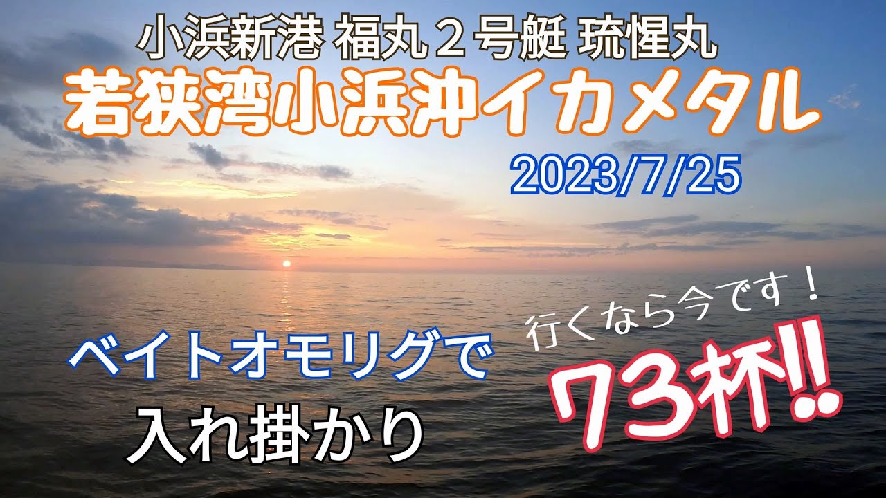 オモリグで73杯釣れました！【福井県小浜・福丸2号艇「琉惺丸」でイカメタル】