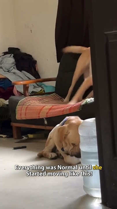 Joshiii Starts her iconic Move 😂