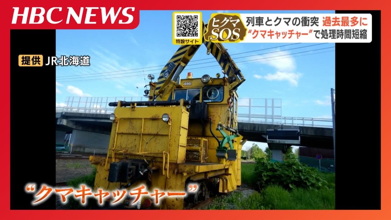 JR Hokkaido] 56 train-bear collisions this fiscal year, surpassing