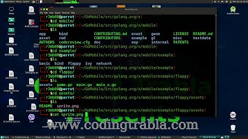 How to see File Content with Terminal on Parrot Security Linux