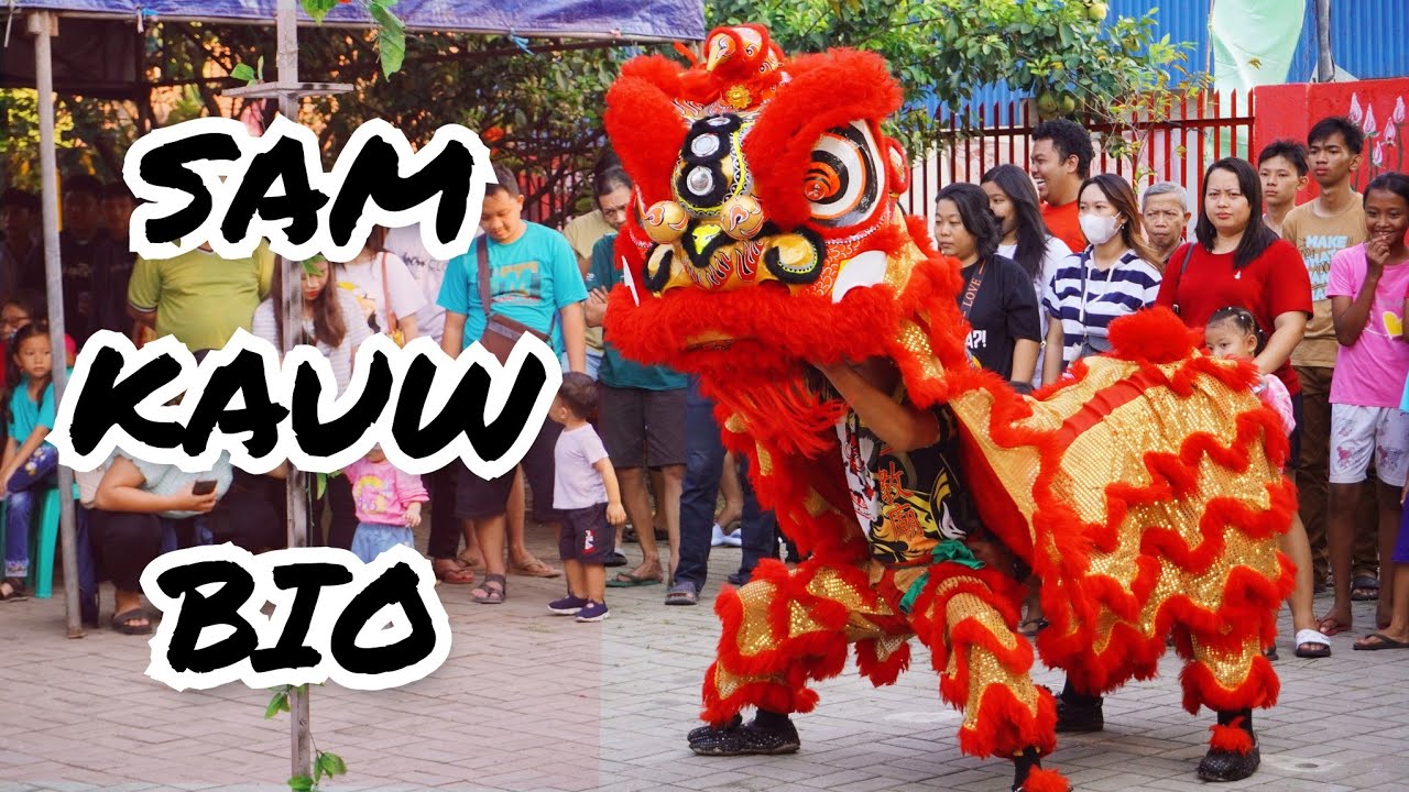 PENAMPILAN BARONGSAI SAM KAUW BIO DI SEJIET KELENTENG TJO SU BIO KE 75 TH