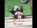 لما يكون معاي فلوس