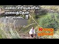 Honey Harvesting in the mountain  Cliffs || Hill Honey || Tamil