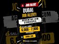 🚨 Accountant Cum Storekeeper Job in Dubai AED 6,000–7,000 🇦🇪 Apply Now #storekeeperjobs #dubaijobs