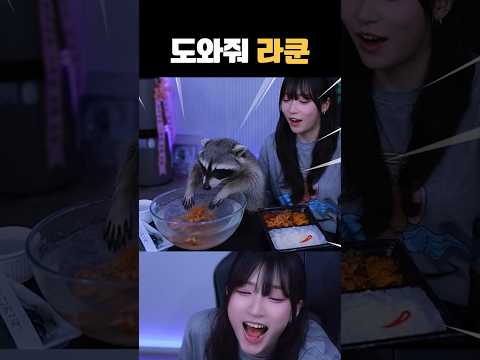 친절한 이웃 라쿤ㅋㅋㅋㅋㅋ #shorts thumbnail