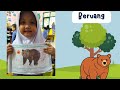 Mengenal binatang 